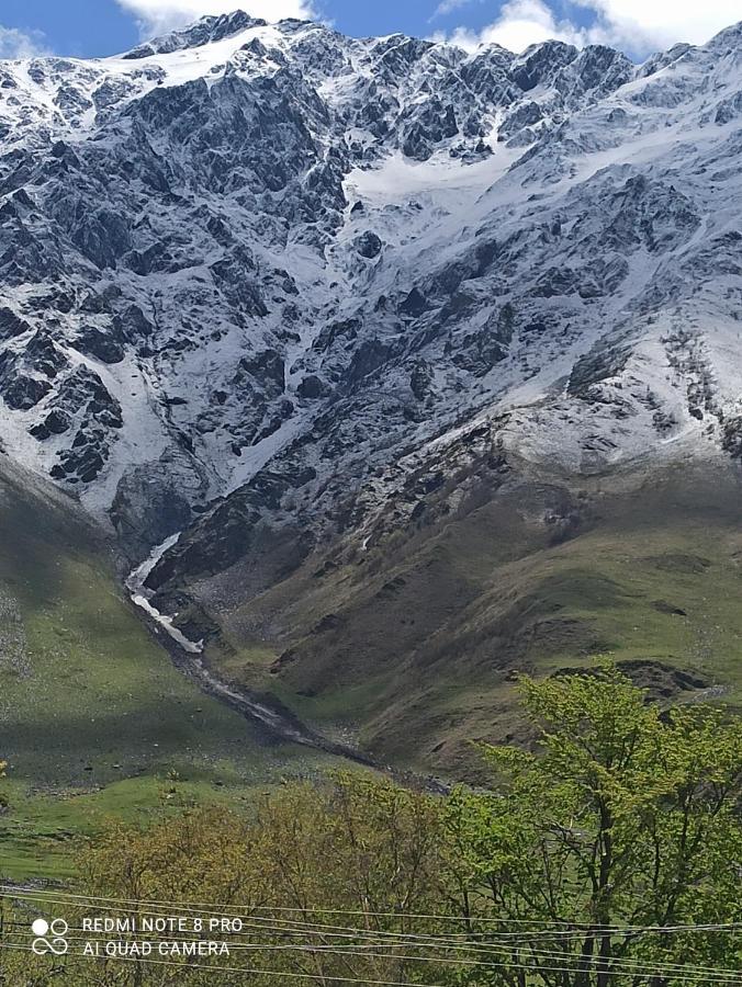 Crystal Kazbegi Hotel Buitenkant foto