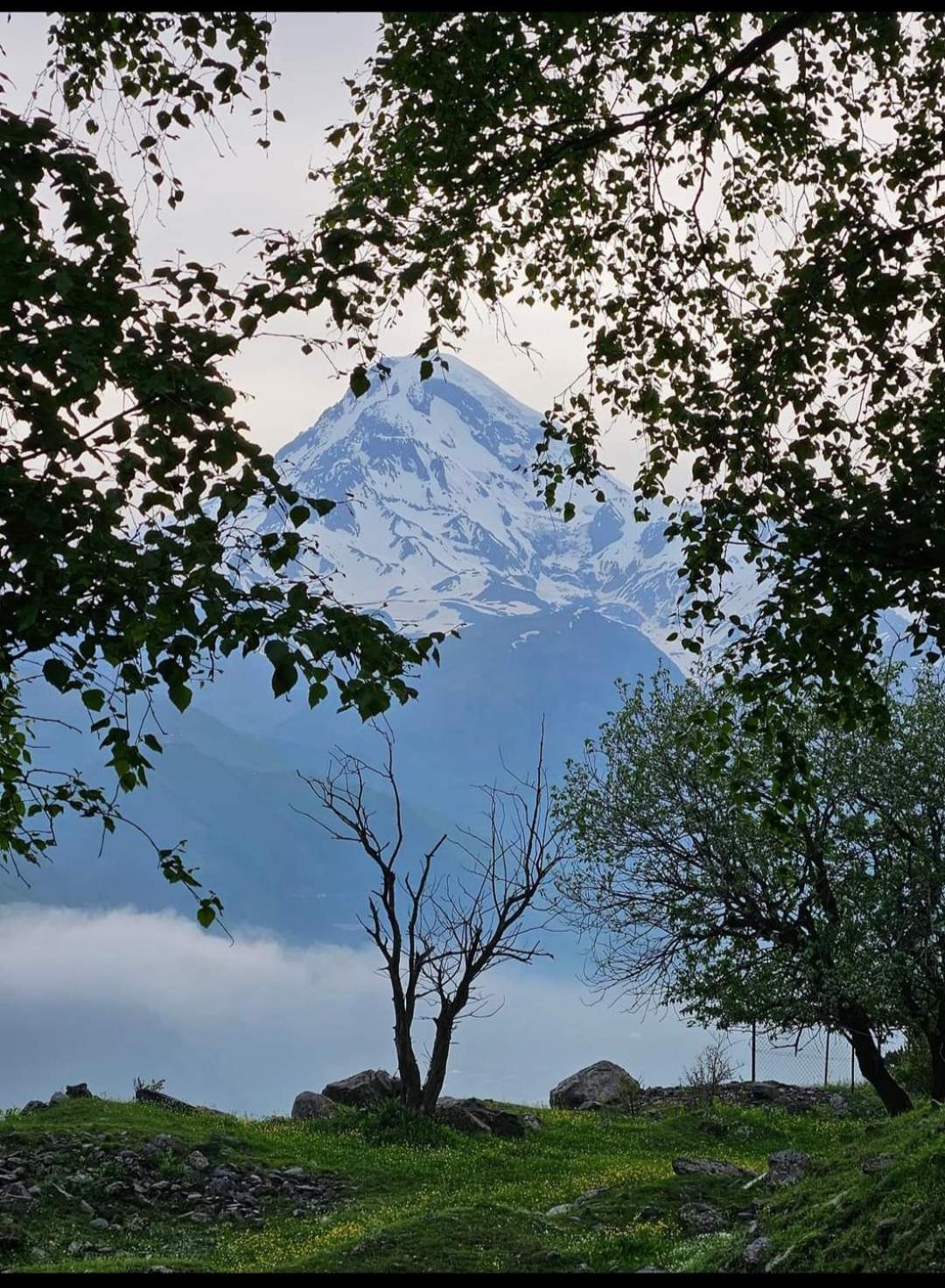 Crystal Kazbegi Hotel Buitenkant foto